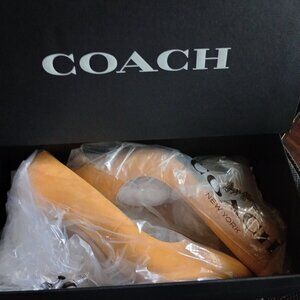 Coach Wiley Suede pump